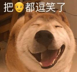 吃瓜轮椅,揭秘网络红人的独特魅力与影响力